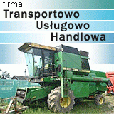 Firma Transportowo-Uslugowo-Handlowa