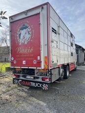camião de transporte de gado SCANIA + reboque transporte animais