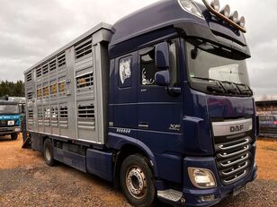 camião de transporte de gado DAF XF 105 Viehtransporter * FINKL * 2 Stock