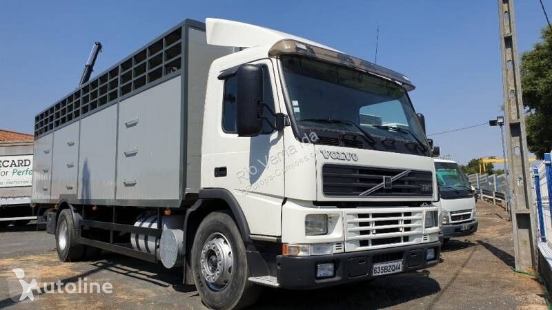 camião de transporte de gado Volvo FM