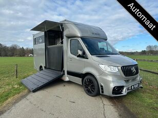 transporte de cavalos Mercedes-Benz Sprinter AMG 2-paards paardenvrachtwagen B-rijbewijs Automaat